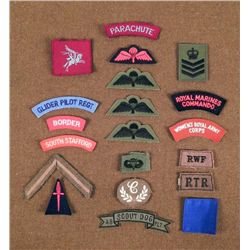 20 BRITISH MILITARY PATCHES-REG,, PARATROOPER,BORDER GD