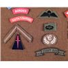 Image 2 : 20 BRITISH MILITARY PATCHES-REG,, PARATROOPER,BORDER GD