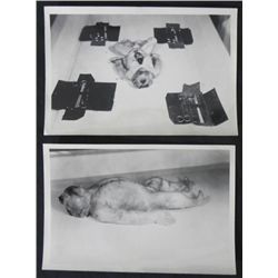 DR. JOZEF MENGELE EXPERIMENT PHOTOS AUSCHWITZ -GRAPHIC