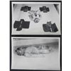 Image 1 : DR. JOZEF MENGELE EXPERIMENT PHOTOS AUSCHWITZ -GRAPHIC