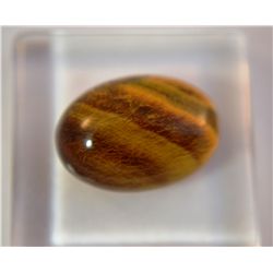 Gorgeous Tiger Eye Gemstone  5.35ct  Cabochon Cut  14 x 10mm