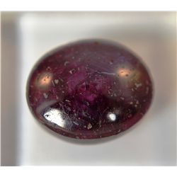 *Amazing Star Ruby 10.50ct  Cabochon Cut  14 x 10mm*