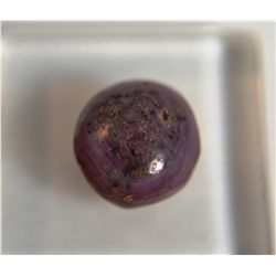 *Amazing Star Ruby 7.25ct  Cabochon Cut  10mm*