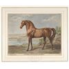 Image 4 : FOUR EQUESTRIAN ENGRAVINGS