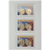 Image 1 : Lot of 30 cased pairs of Andrew Jackson  Presidential $1 coins put out by Whitman  Publishing, LLC. 