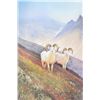 Image 1 : Michael Coleman color print entitled “Old  Timers” showing two white curled horn rams in  a mountain