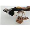 Image 2 : Lady Amhurst Pheasant mount on wood base for  wall hanging in very good condition.  Est.:   $75-$150