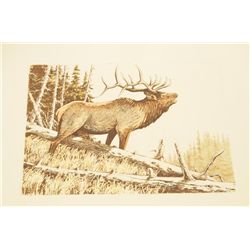 Sepia toned etching of a Bull Elk on heavy  rag paper in wooded setting, approx. 14” x  18”, hand si