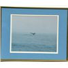 Image 3 : Lot of 5 great decorators including a framed  and matted photo of a Humpback Whale off the  coast of