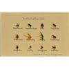 Image 8 : Lot of 5 great decorators including a framed  and matted photo of a Humpback Whale off the  coast of