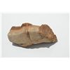 Image 1 : Fossil bone found in Utah per consignor,  approx. 8” long and 4” in diameter.  Est.:   $50-$100.