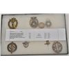 Image 1 : Riker case of 8 nazi badges, pins and a coin  including a bronze infantry assault badge, a  kreigsma