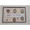 Image 1 : Riker case of 7 various nazi badges and pins  including an infantry/assault badge, a 2nd  model E-bo