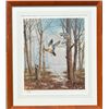 Image 1 : Framed and matted limited edition David Maass  print (41/580), entitled “Misty  Morning-Woodcock”, h