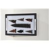 Image 3 : Lot of 3 riker cases of American Indian  arrowheads.  Est.:  $100-$150.
