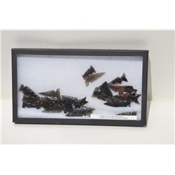 Lot of 3 riker cases of American Indian  arrowheads.  Est.:  $100-$150.