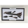 Image 3 : Lot of 3 riker cases of American Indian  arrowheads.  Est.:  $100-$150.