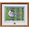 Image 1 : Framed and matted print by Richard Kirkman  entitled “Preening Pintail”, hand signed with  a Califor