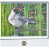 Image 2 : Framed and matted print by Richard Kirkman  entitled “Preening Pintail”, hand signed with  a Califor