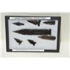 Image 1 : Lot of 3 riker cases of American Indian  arrowheads.  Est.:  $100-$150.