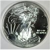 Image 1 : 2013 AMERICAN SILVER EAGLE