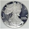 Image 2 : 2006-W PROOF SILVER AMERICAN EAGLE NGC PF-70 UC