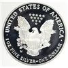Image 3 : 2006-W PROOF SILVER AMERICAN EAGLE NGC PF-70 UC