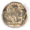 Image 3 : 1938-D BUFFALO NICKEL PCGS MS66