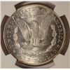 Image 3 : 1884 MORGAN DOLLAR NGC MS64