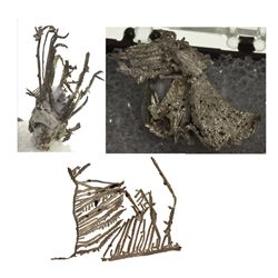 NM,-Chihuahua County,Batopilas Wire Silver