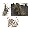Image 1 : NM,-Chihuahua County,Batopilas Wire Silver