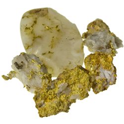 CA,Scott Bar-Siskiyou County,Scott Bar Mine Scraps