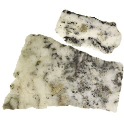 CO,Sunnyside-,Rich Native Gold Ore Slabs