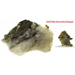 Dakota South,-Custer County,Gold in Quartz