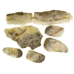 NV,Comstock Lode-Storey County,Gold in Quartz