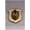 Image 1 : An Unusual German Majolica Boars Head Pipe Rack Mounted on Bearskin Covered...