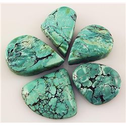 Natural Turquoise 172.91ctw Loose Small Gemstone Lot of 5