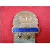 Image 2 : Original Badge from 1948 Dem. Natl. Convention