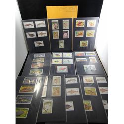 Marine and Floral Foreign Mounted Stamps