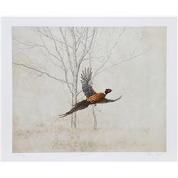 Chris Forrest, Pheasant, Lithograph