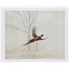 Image 1 : Chris Forrest, Pheasant, Lithograph