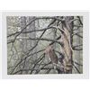 Image 1 : Chris Forrest, Great Horned Owl, Lithograph