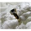 Image 1 : Ladies 10k Sapphire  & Diamond Ring 2.0 Grms