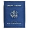 2012-W BURNISHED UNCIRCULATED AMERICAN SILVER EAGLE