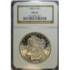 1880-O MORGAN DOLLAR NGC MS62 VERY NICE BLAST WHITE
