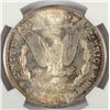 Image 3 : 1881-S MORGAN DOLLAR NGC MS66 SUPERB!