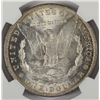 Image 3 : 1885-O MORGAN DOLLAR NGC MS66 SUPERB!
