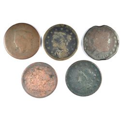 5 CULL LARGE CENTS
