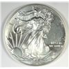 Image 1 : 2013 SILVER AMERICAN EAGLE