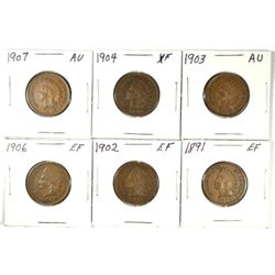 6 DIFFERENT INDIAN HEAD CENTS (91,02,03,04,06,07)
